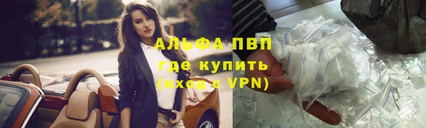гидра Абаза