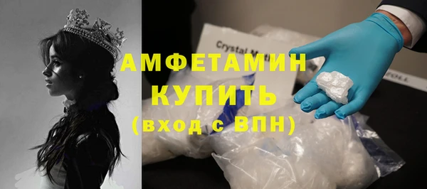 гидра Абаза