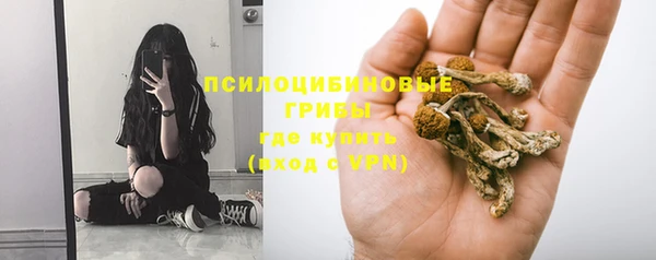 гидра Абаза