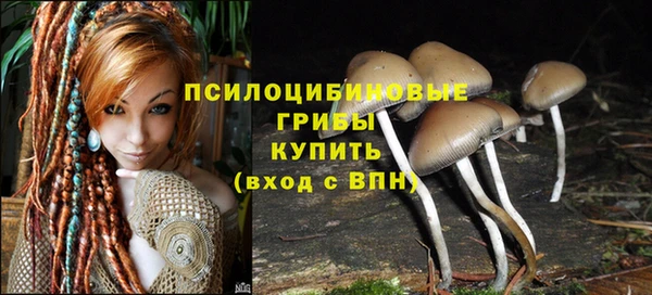 спиды Сафоново