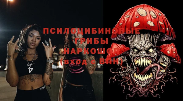дживик Каменногорск