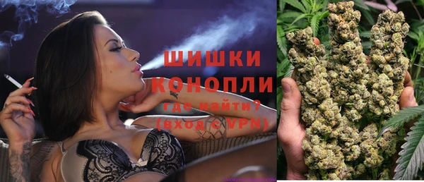 стаф Ельня
