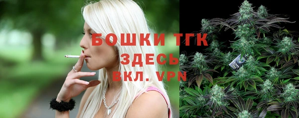 гидра Абаза