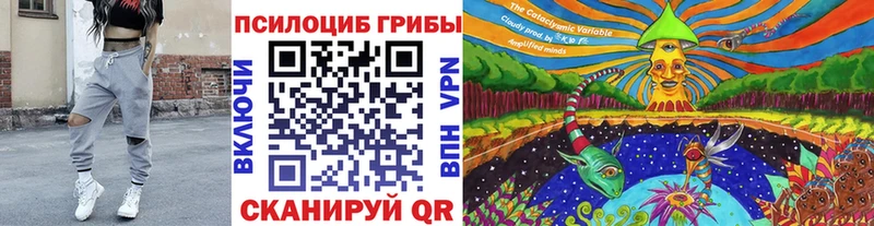наркота  Кедровый  Галлюциногенные грибы MAGIC MUSHROOMS 